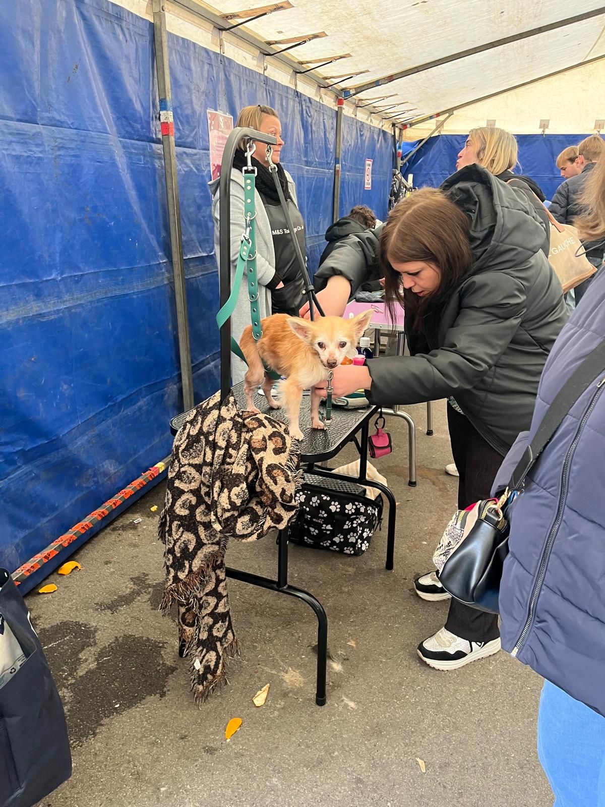 Odoo image et bloc de texte